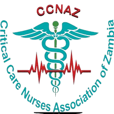 ccnaz removebg preview